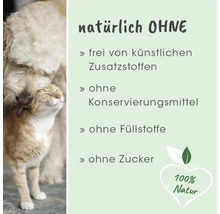 Hund und Katze mit Text zu Tiernahrung ohne künstliche Zusatzstoffe, Konservierungsmittel, Füllstoffe und Zucker. 100 Prozent Natur.