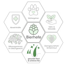 Infografik zu den Vorteilen von Bierhefe für Haustiere wie Abwehrkräfte, Wohlergehen, Nährstoffe, Darmgesundheit, Haut und Fell.