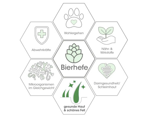 Infografik zu den Vorteilen von Bierhefe für Haustiere wie Abwehrkräfte, Wohlergehen, Nährstoffe, Darmgesundheit, Haut und Fell.