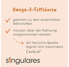 Infografik zu Omega-3-Fettsäuren: essentielle Nährstoffe, Aufnahme über Nahrung erforderlich. Lachsöl als tierische Quelle. Singulares Logo.