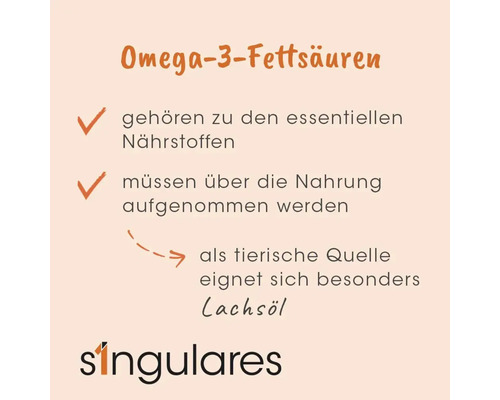 Infografik zu Omega-3-Fettsäuren: essentielle Nährstoffe, Aufnahme über Nahrung erforderlich. Lachsöl als tierische Quelle. Singulares Logo.
