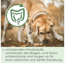 Ein Hund schnüffelt am Boden, daneben ein Symbol für die Verdauung und Text zum Schutz der Magen- und Darmschleimhaut.