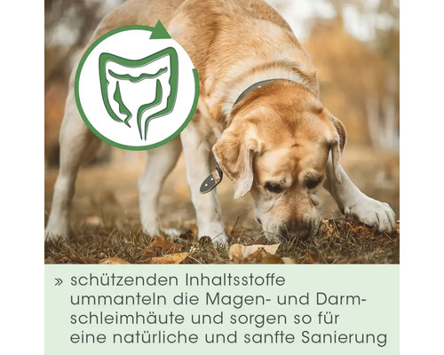 Ein Hund schnüffelt am Boden, daneben ein Symbol für die Verdauung und Text zum Schutz der Magen- und Darmschleimhaut.
