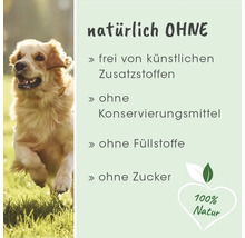 Rennender Hund mit Informationen: Frei von künstlichen Zusatzstoffen, Konservierungsmitteln, Füllstoffen und Zucker. 100 Prozent Natur Siegel.