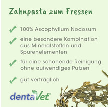 Zahnpasta zum Fressen aus 100 Prozent Ascophyllum Nodosum zur schonenden Zahnreinigung bei Haustieren, gut verträglich, dentaVet Logo.