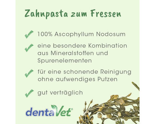 Zahnpasta zum Fressen aus 100 Prozent Ascophyllum Nodosum zur schonenden Zahnreinigung bei Haustieren, gut verträglich, dentaVet Logo.