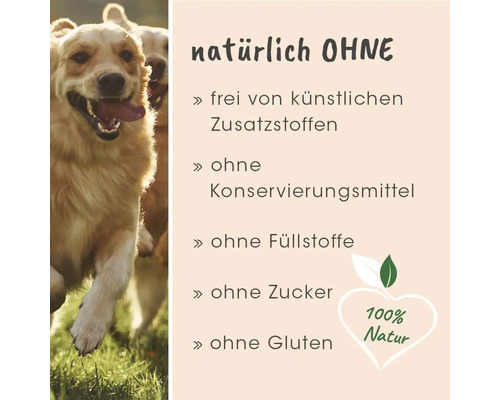 Hundefutter mit Golden Retrievern: Natürlich ohne künstliche Zusatzstoffe, Konservierungsmittel, Füllstoffe, Zucker, Gluten, 100 Prozent Natur.