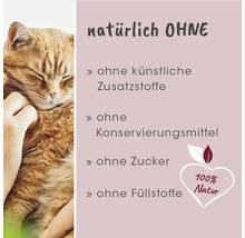 Infografik für Katzenfutter mit einer Katze: Ohne künstliche Zusatzstoffe, Konservierungsmittel, Zucker und Füllstoffe. Siegel 100 Prozent Natur.