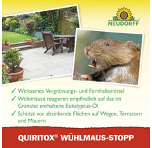 Neudorff Logo, Quiritox Wühlmaus-Stopp Infografik mit Garten, Wühlmaus und Hinweisen zum Schutz von Wegen und Terrassen durch Eukalyptusöl.