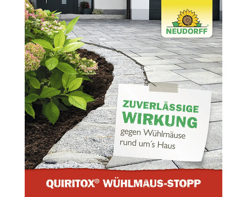 Quiritox Wühlmaus-Stopp von Neudorff gegen Wühlmäuse im Gartenbeet und an gepflasterten Flächen rund um das Haus. Neudorff Logo.