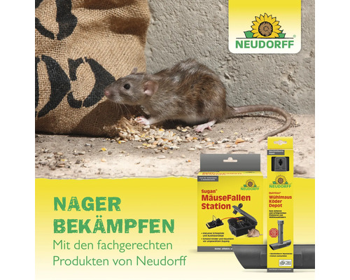Neudorff Produkte zur Nagerbekämpfung mit Ratte neben Jutesack, Mäusefallenstation, Wühlmausköderdepot und Neudorff Logo in heller Umgebung.