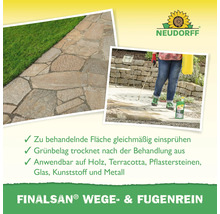 Reinigung von Pflastersteinen mit Finalsan Wege- und Fugenrein gegen Grünbelag, geeignet für Holz, Stein, Glas und Metall, Neudorff Logo.