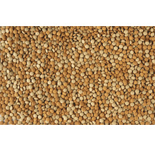 Nahaufnahme von runden, flachen Futterpellets in verschiedenen Brauntönen.