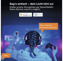 Smarte Ambientbeleuchtung per Sprachbefehl steuerbar. Kompatibel mit Google Home Logo und Amazon Alexa Logo. Szene einer Person beim Gaming.