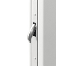 Nahaufnahme eines ausgefahrenen Schwenkriegels aus Metall an einem Rahmen.