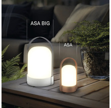 Zwei tragbare LED-Außenleuchten ASA BIG und ASA in verschiedenen Größen auf einem Holztisch in einer Gartenumgebung.