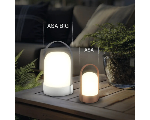 Zwei tragbare LED-Außenleuchten ASA BIG und ASA in verschiedenen Größen auf einem Holztisch in einer Gartenumgebung.