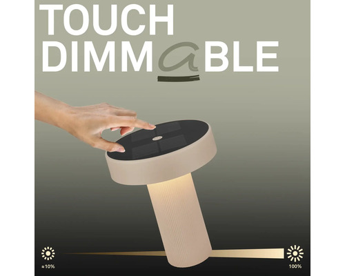 Tischleuchte mit Touch-Dimmfunktion von circa 10 Prozent bis 100 Prozent Helligkeit.