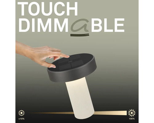 Eine Hand berührt die Oberseite einer modernen Tischleuchte, um die Helligkeit anzupassen. Die Leuchte ist per Touch von circa 10 Prozent bis 100 Prozent dimmbar.