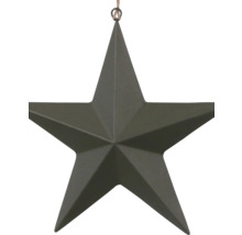 Metallstern zum Aufhängen mit dreidimensionaler Prägung und Metallöse.