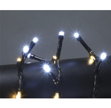 LED-Lichterkette mit kleinen weißen und warmweißen Lichtern an einem schwarzen Kabel.