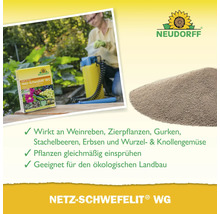 Neudorff Netz-Schwefelit WG zur Anwendung an Weinreben, Zierpflanzen und Gemüse im Garten, geeignet für den ökologischen Landbau.