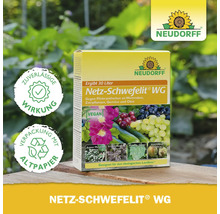 Neudorff Netz-Schwefelit WG gegen Echten Mehltau an Weinreben, Rosen und Gurken, zuverlässige Wirkung, Verpackung aus Altpapier, Neudorff Logo