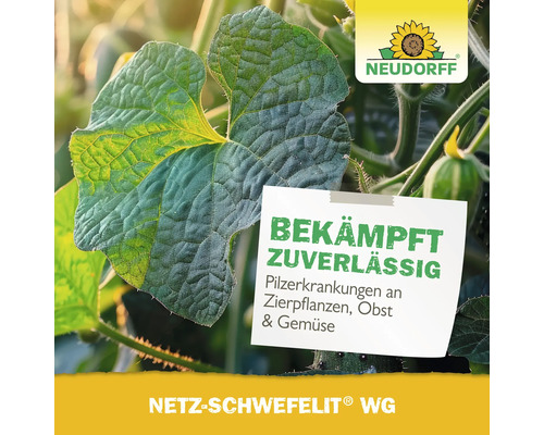 Neudorff Logo über Blatt mit Pilzbefall, Text zur Bekämpfung von Pilzerkrankungen an Zierpflanzen, Obst und Gemüse mit Netz-Schwefelit WG.