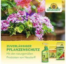 Neudorff Pflanzenschutzprodukte vor einem Blumentopf mit blühenden Pflanzen für einen zuverlässigen und naturgemäßen Pflanzenschutz.