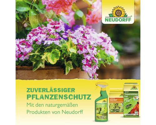 Neudorff Pflanzenschutzprodukte vor einem Blumentopf mit blühenden Pflanzen für einen zuverlässigen und naturgemäßen Pflanzenschutz.