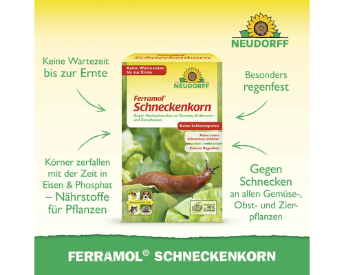 Neudorff Ferramol Schneckenkorn gegen Nacktschnecken an Gemüse und Obst. Regenfest, keine Wartezeit bis zur Ernte, schont Haustiere und Nützlinge.