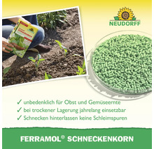 Neudorff Ferramol Schneckenkorn zur Bekämpfung von Schnecken, unbedenklich für Ernte, Granulat in Schale, Anwendung im Garten und Neudorff Logo.