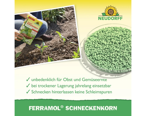 Neudorff Ferramol Schneckenkorn zur Bekämpfung von Schnecken, unbedenklich für Ernte, Granulat in Schale, Anwendung im Garten und Neudorff Logo.