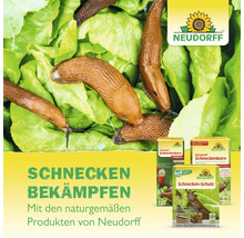 Neudorff Logo. Naturgemäße Schneckenbekämpfung mit Ferramol Schneckenkorn und Kupferband auf Salat mit Schnecken.