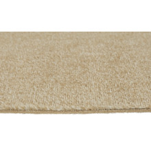 Nahaufnahme eines beigen Teppichbodens mit weicher Schnittflor-Textur.