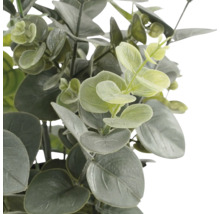 Künstliche Eukalyptus-Pflanze mit runden, grünen Blättern.