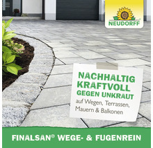 Gepflasterter Weg mit sauberen Fugen neben einem Blumenbeet, Neudorff Logo und Text für Finalsan Wege- und Fugenrein.