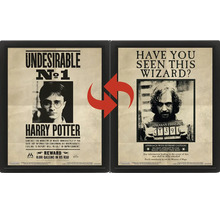 Harry Potter 3D-Lentikularposter im schwarzen Rahmen mit wechselndem Motiv von Harry Potter und Sirius Black.