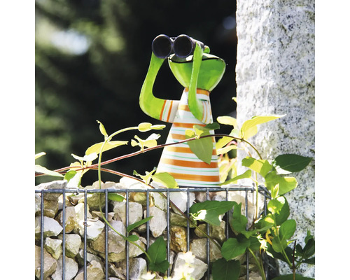 Gartenfigur Frosch mit Fernglas und gestreiftem Shirt auf einer Gabione mit Steinen inmitten grüner Pflanzen im Garten.