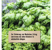 Frisches Basilikum und Oregano mit dem Hinweis, Kräuter für Wachstum, Ertrag und Aroma einmal wöchentlich zu düngen.