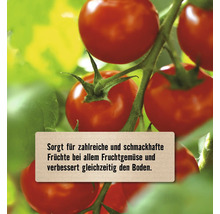 Tomaten an einer Rispe mit Hinweistext zur Förderung von Ertrag und Bodenqualität bei Fruchtgemüse.