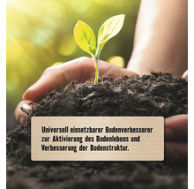Hände halten dunkle Erde mit einem Keimling, Text beschreibt universellen Bodenverbesserer zur Aktivierung des Bodenlebens.