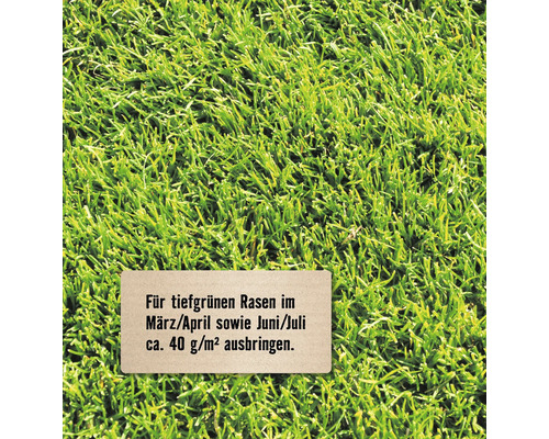 Dicht gewachsener Rasen mit Hinweisschild: Im März, April, Juni und Juli circa 40 Gramm pro Quadratmeter ausbringen für einen tiefgrünen Rasen.