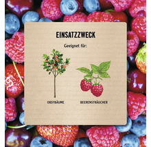 Infografik zum Einsatzzweck: Geeignet für Obstbäume und Beerensträucher, vor einem Hintergrund mit verschiedenen Beeren.