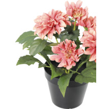 Künstliche Dahlie im schwarzen Topf mit rosa Blüten und grünen Blättern.