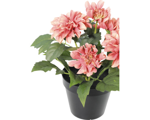 Künstliche Dahlie im schwarzen Topf mit rosa Blüten und grünen Blättern.