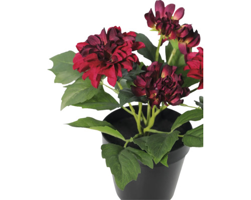 Künstliche Dahlie im schwarzen Topf mit dunkelroten Blüten und grünen Blättern.