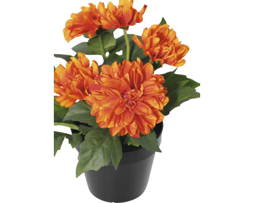 Künstliche Dahlie im schwarzen Kunststofftopf mit orangefarbenen Blüten und grünen Blättern.