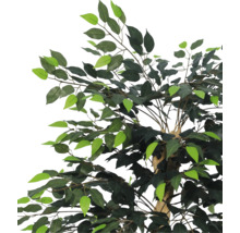 Künstliche Pflanze Ficus mit grünen Blättern aus Textil und Kunststoff.
