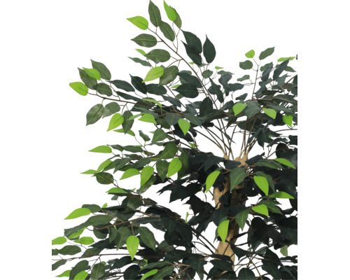 Künstliche Pflanze Ficus mit grünen Blättern aus Textil und Kunststoff.